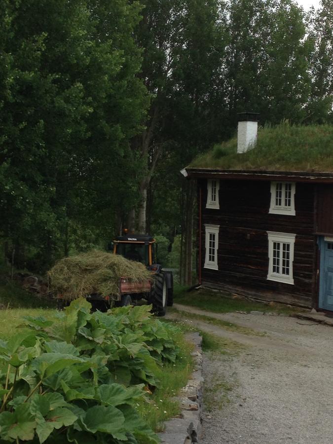 Ivaregga Vinterstua Tolga Eksteriør billede