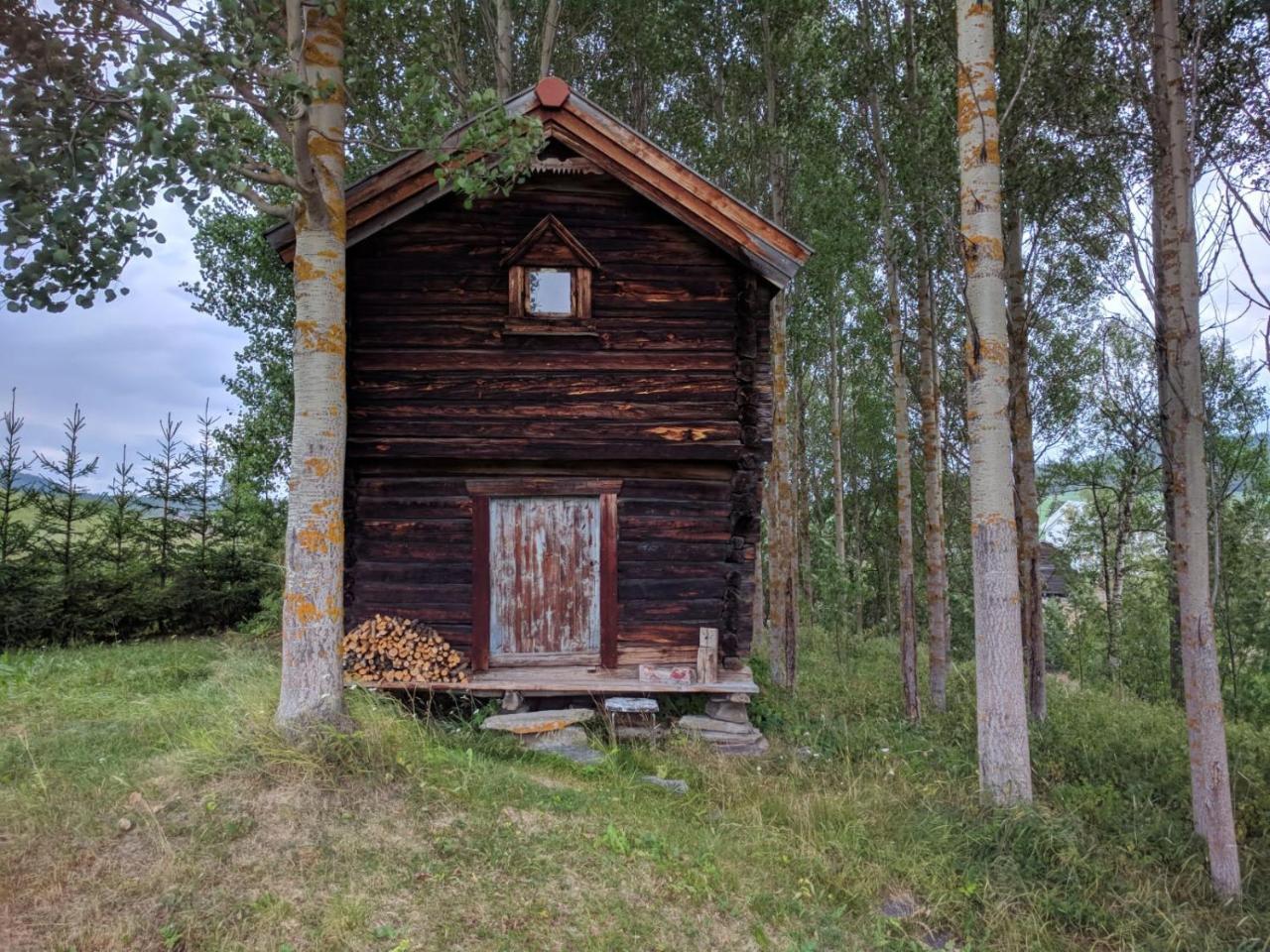 Ivaregga Vinterstua Tolga Eksteriør billede